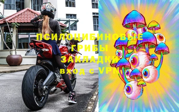 ПСИЛОЦИБИНОВЫЕ ГРИБЫ Михайловск