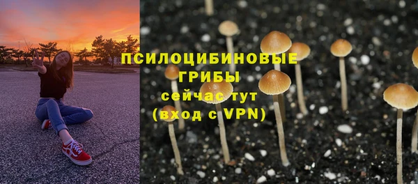 мескалин Майский